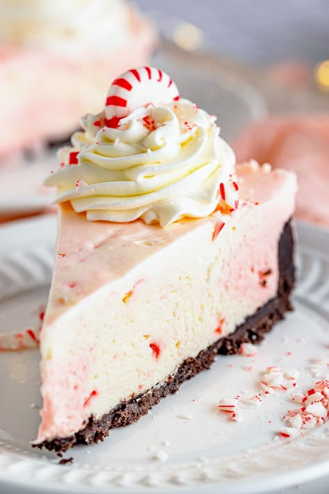 Christmas Sweet Snacks, No Bake Peppermint Cheesecake, Peppermint Pie Recipe, Peppermint Pie, Candy Cane Pie, Cheese Pudding, Pumpkin Cream Cheese Pie, Vanilla Bean Cheesecake, Christmas Cheesecake