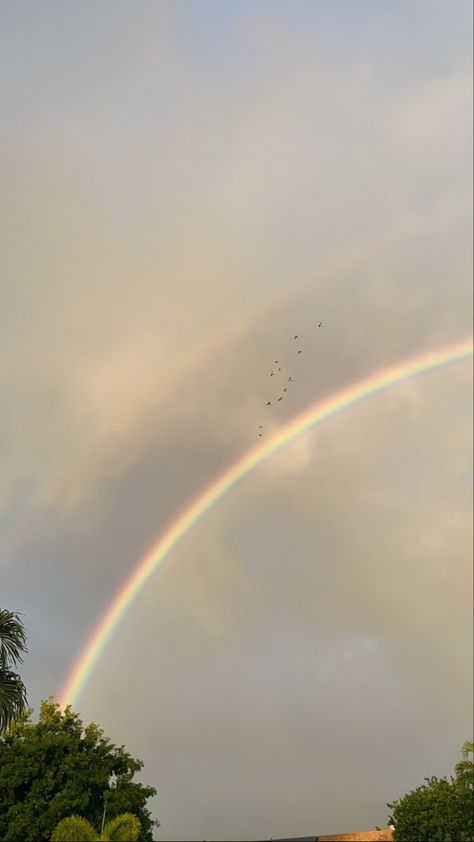 #rainbow #birds #sky Rainbow Birds, Volcano Activities, Pretty Rainbow, Rainbow Sky, Verses Wallpaper, Amazing Nature Photography, Sky Pictures, Sky Aesthetic, Amazing Nature