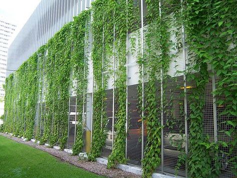 50+ Green wall Design Inspiration - The Architects Diary Screen Facade, Parking Structure, Green Wall Design, Detail Arsitektur, Green Facade, Garden Screening, Lan Can, Walled Garden, Green Architecture