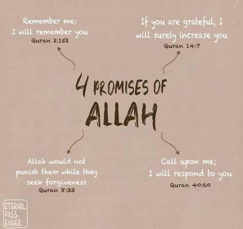 Islam Reminder, Life Knowledge, Islam Quotes About Life, Quote Islam, Quranic Verses, Short Islamic Quotes, Islam Beliefs, Pray Quotes, Ayat Al-quran