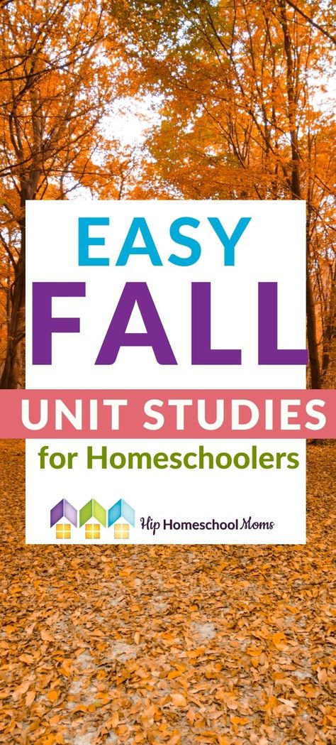 Fall Activities For Homeschool, September Homeschool Activities, Fall Homeschool Lessons, Fall Homeschool Themes, Homeschool Activity Ideas, Fun Homeschool Activities Kindergarten, First Day Of Autumn Activities, Easy Homeschool Activities, Fall Home School Activities