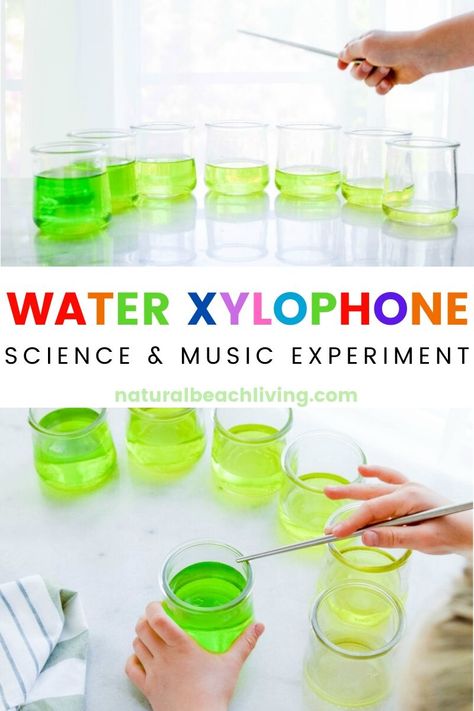 Water Xylophone, Music And Science, Xylophone Music, Science Experiments Kids Preschool, Sensory Science, Preschool Music Activities, Zoo Phonics, Water Experiments, Homeschool Activity