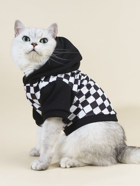 Cute Cat Outfits For Cats, Animals In Outfits, Cute Animals In Clothes, Cats In Outfits, Cat Clothes Pattern, Cat With Hoodie, Cats Wearing Clothes, Cute Cat Outfits, Cats In Clothes