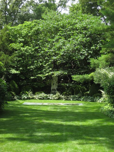 Backyard Big Trees In Backyard, Green Backyard, Big Yard, Backyard Views, Summer Trees, Big Backyard, House Backyard, Large Backyard, Big Tree