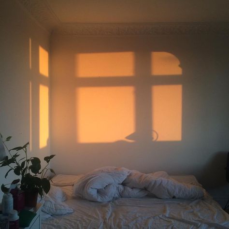 1,800 Likes, 12 Comments - creamy like a library (@athenawyller) on Instagram: “current bedroom” Sun Shining, White Sheets, Trik Fotografi, Humble Abode, Cheap Decor, Cheap Home Decor, Dream Room, Golden Hour, Future House