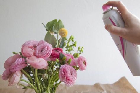 Cómo secar flores con laca para el cabello Perserving Flowers, Preserve Flowers, Diy Collage, Dried Flowers Diy, Preserved Roses, How To Preserve Flowers, Flowers Diy, Real Flowers, Cut Flowers