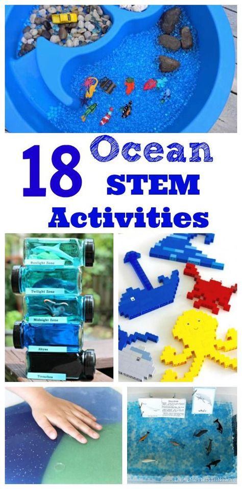 Love these ocean science & math activities for kids!  Great for learning about sharks, whales, ocean zones and more. Life Below Water Activities, Montessori, Stem Water Activities, Whale Activities For Kindergarten, Ocean Stem Activities, Science Math Activities, Ocean Themed Activities, Ocean Science Activities, Ocean Slime