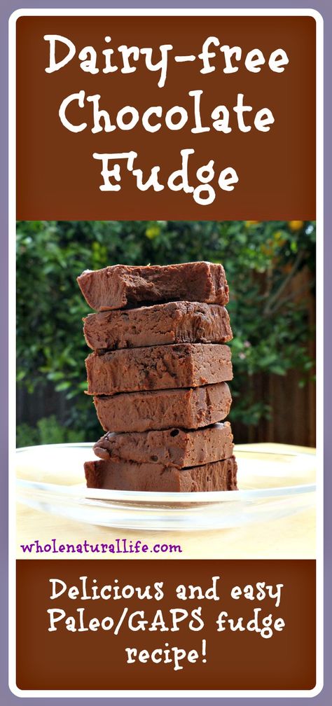 You need to try this healthy fudge recipe! It's dairy-free, honey-sweetened, and made with cocoa butter. Plus it's super simple to make! Healthy Fudge Recipe, Paleo Fudge, Dairy Free Fudge, Healthy Fudge, Bake Snacks, Gf Treats, Warm Desserts, Grain Free Desserts, Fudge Recipe