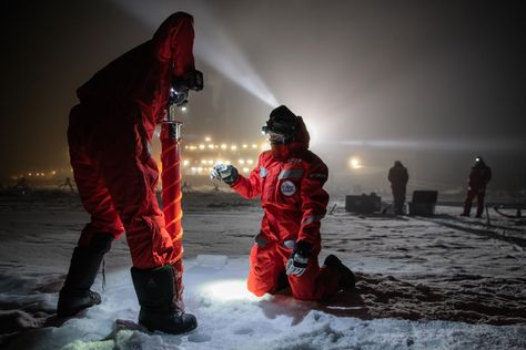 MOSAiC Project Freezes A Boat In The Arctic Ice Pack For Science Alfred Wegener, Science Stories, Ice Sheet, Arctic Sea, Arctic Ice, Mosaic Projects, Special Operations, North Pole, Scientists