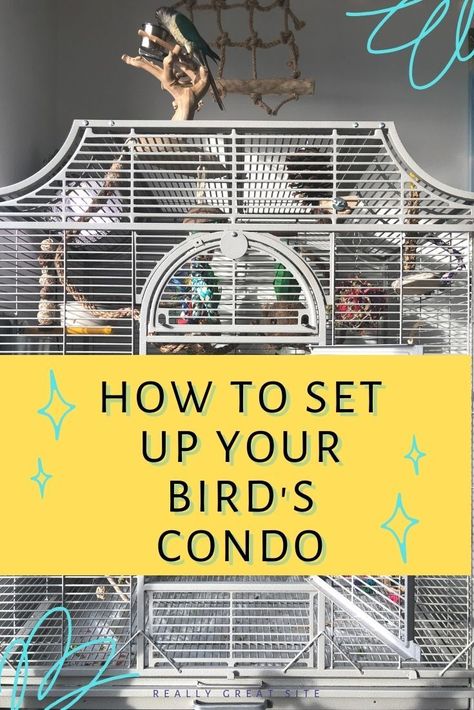 Bird Cage Set Up Ideas, Quaker Parrot Cage Setup, Lovebirds Cage Ideas, Budgie Cage Ideas, Parakeet Cage Ideas, Bird Cage Setup, Budgie Care, Bird Cage Ideas, Conure Cage