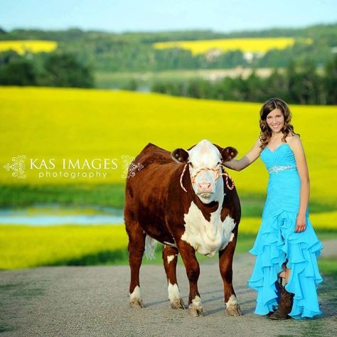 Perfect in my wedding dress. Make the calf a black one ;) Country Prom, Cow Photography, Prom Picture, Country Senior Pictures, Prom Photos, Senior Poses, Grad Pics, Grad Photos, Wedding Tattoos