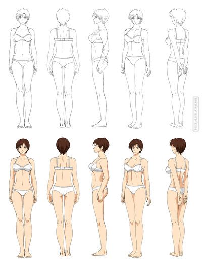 Anime anatomy, full body (commission) by Precia-T Poses Bases, Anime Anatomy, 3d Karakter, Tattoo Placements, Drawing Female Body, Body Sketches, Character Model Sheet, Human Figure Drawing, Body Reference Drawing