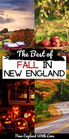 Fall In Connecticut, Fall Foliage Trips, Fall In New England, Fall Foliage Road Trips, Massachusetts Travel, New England Road Trip, Fall Road Trip, East Coast Travel, Fall Vacations