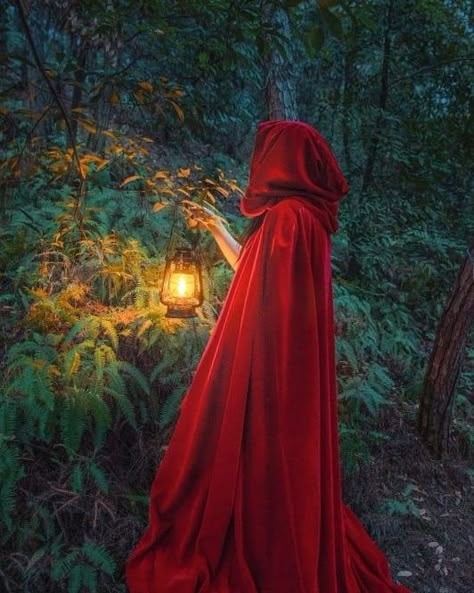 Red Cloak, Mysterious Forest, Fairytale Aesthetic, Fairytale Photography, Fantasy Photography, Princess Aesthetic, Fantasy Aesthetic, Little Red Riding Hood, 인물 사진