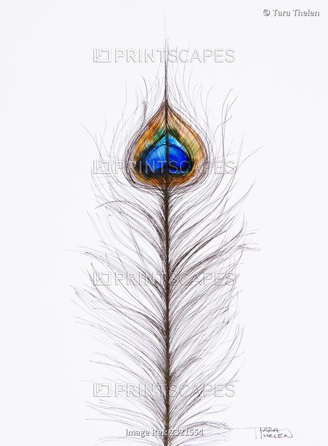 #artprintsforsale #art #artist #artdecor #homedecor Peacock Feather Painting, Painting On Wall, Watercolor Peacock, Peacock Painting, Feather Wall Art, Abstract Watercolor Art, Feather Painting, Watercolor Wall Art, Art Prints For Sale