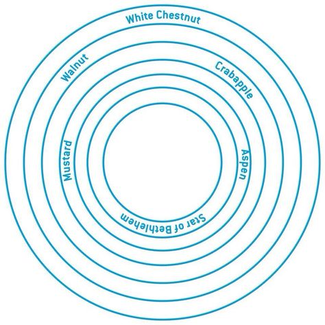 Property Sale EC: Removal of negative energies, helps in sale of properties. Write the property name in the center circle with blue pen. From Naran S Balakumar Sir Naran Balakumar, Healing Numbers, Dowsing Chart, Switch Word, Energy Circles, Grabovoi Codes, Witchcraft Spells For Beginners, Switch Board, Causes Of Back Pain