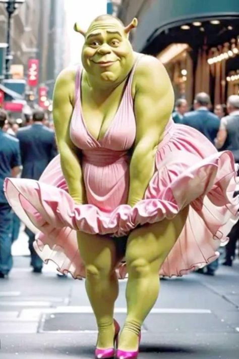 Shrek Funny, Cute Funny Pics, Funny Pix, Crazy Funny Pictures, Goofy Pictures, Very Funny Pictures, Extremely Funny Jokes, Funny Profile Pictures, Silly Pictures