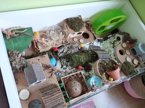 Syrian Hamster Enclosure, Ikea Linnmon Hamster Cage, Hamster Cages Ideas, Hamster Bin Cage, Bin Cage, Kawaii Hamster, Ikea Linnmon, Hamster Cage Ideas, Pet Enclosures