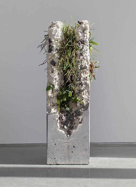 Terraforms 2014 on Behance Plant Installation, Plants Growing, Concrete Sculpture, Australian Plants, Concrete Planter, Concrete Crafts, Cement Crafts, Concrete Art, Deco Floral