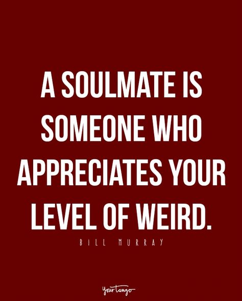 “A soulmate is someone who appreciates your level of weird.” - Bill Murray Weird Love Quotes, Quotes About Soulmates, Weirdo Quotes, Love Quotes Soulmate, Guy Bestie, About Soulmates, Writing Vows, A Soulmate, Famous Love Quotes