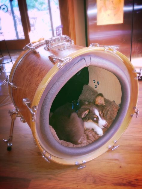 Up-cycled bass drum dog bed. BOOM! Old Drum Ideas, Drum Set Room, Drum Upcycle, Diy Music, Music Themed Bedroom, Drums Artwork, Music Furniture, Cool Drum Set, Drum Room