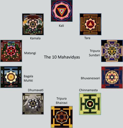 The Ten Mahavidyas | Greenleaf Yantras Ten Mahavidyas, 10 Mahavidya, Kali Yantra, Karthika Masam, Sacred Geometric Pattern, Durga Mantra, Tantra Art, Shri Yantra, Sanatan Dharma