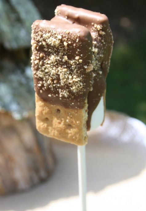 Smores Pops, Camping Cakes, Camping Party, S'mores, Snacks Für Party, On A Stick, Köstliche Desserts, Camping Food, A Stick