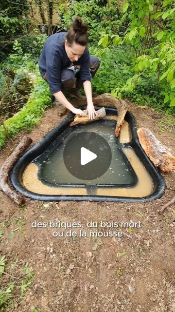 Marie Wild on Instagram: "Une mini mare pour la biodiversité 🐸  Produits utilisés de chez @gamm.vert : * Bassin de jardin préformé 250L Ubbink * Substrat de croissance pour plantes oxygénantes  * Gravillons pour bassin * Plante aquatique Caltha palustris - Souci d'eau * Plante aquatique Mentha aquatica - Menthe aquatique * Plante aquatique Juncus inflexus - Jonc glauque  [collaboration commerciale rémunérée avec @gamm.vert]  #gammvert #gammfier #nature #biodiversité #animauxrigolos #animauxsauvages #animauxmignons #animaux #trailcamera #trailcam #animals #animalsofinstagram #wildgarden #wildlife #naturelovers #piegephoto #renard #foxes #squirrel #ecureuil #oiseaux #oiseauxsauvages #oiseauxdujardin #birds #science #vulgarisation #pond #fishpond #poisson #fish" Caltha Palustris, Wildlife Pond, Mini Pond, Aquatic Garden, Natural Pond, Pond Plants, Garden Pond, Fish Pond, April 16