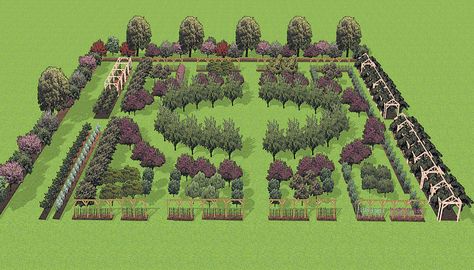 Author’s rendering of the Fruit Garden. I like this shape. Could change fruits and other plants. Add in plants that deter pests, nut trees, bee keep, black berries, blue berries, strawberries etc. But I LOVE the general shape. Fruit Trees Garden Design, Fruit Garden Design, Fruit Garden Layout, Tree Garden Design, Fruit Tree Garden, Orchard Garden, Berry Garden, Garden Fruit, Fruit Displays