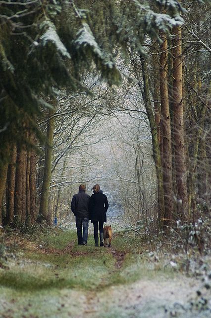 A Snowy Day, People Walking, Winter Walk, Walk In The Woods, Snowy Day, Shoot Ideas, Engagement Shoot, Winter Scenes, Country Life