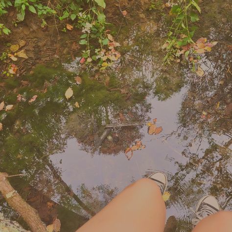 stream, log, tree, water, nature, aesthetic, summer Water Nature Aesthetic, Log Aesthetic, Fallen Tree, Water Nature, Aesthetic Summer, Nature Aesthetic, Autumn Trees, Horses, Log