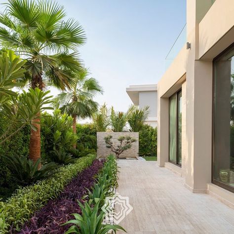 Secret Gardens - Landscaping & Pools on Instagram: "The harmony between nature & architecture is in a clear defining line! Design & Build by Secret Gardens #landscapedesign #landscapearchitecture #landscapingdubai #designandbuild #poolconstruction #landscapeindubai #dubaihills #albarari #mbrcommunity #district1" Nature, Saudi Palace, Dubai Townhouse, Washingtonia Palm, Dubai Landscape, Dubai Garden, Tropical Landscape Design, Tropical Landscape, Nature Architecture