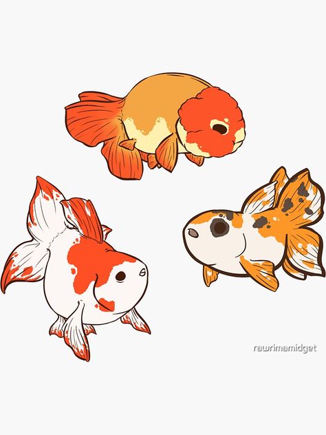 "Fancy Goldfish Sticker Set 2" Sticker by rawrimamidget | Redbubble Fish Sketch, Fancy Goldfish, Goldfish Art, Cute Sketches, Cute Fish, Fish Drawings, Creature Drawings, Little Doodles, Drawing Inspo