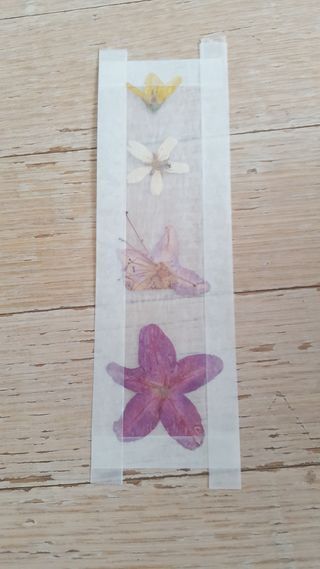 Wax Paper Crafts, Pounded Flowers, Drying Roses, Diy Wax, Diy Bookmarks, Flower Ornaments, Pressed Flower Art, Autumn Crafts, Wax Paper