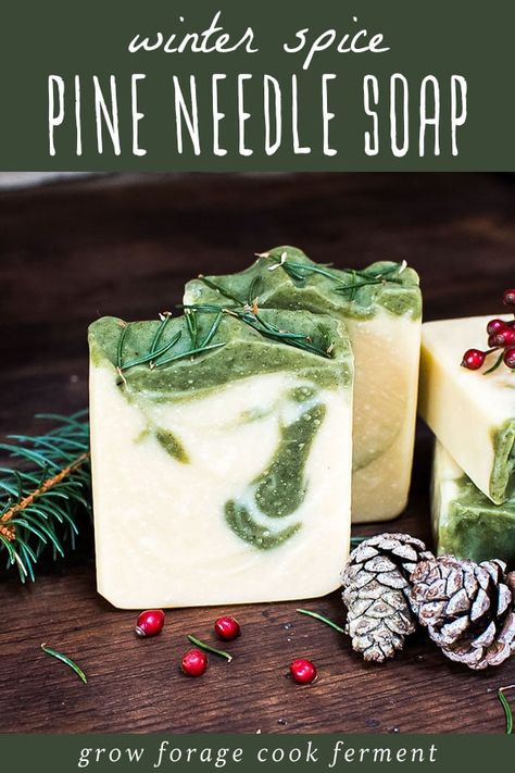 Learn how to make natural Holiday Spice Pine Soap with wild foraged conifer needles to moisturize dry winter skin. With an amazing sweet-spicy evergreen scent it will be your favorite bar! It also makes the perfect DIY herbal Christmas gift! Homemade Pine Tar Soap, Cranberry Cold Process Soap, Salt Bar Soap Recipe, Soap Making Christmas, Christmas Homemade Soap, Pine Soap Recipe, Diy Dr Squatch Soap Recipe, Herbal Soap Recipes, Soap Scents Combinations