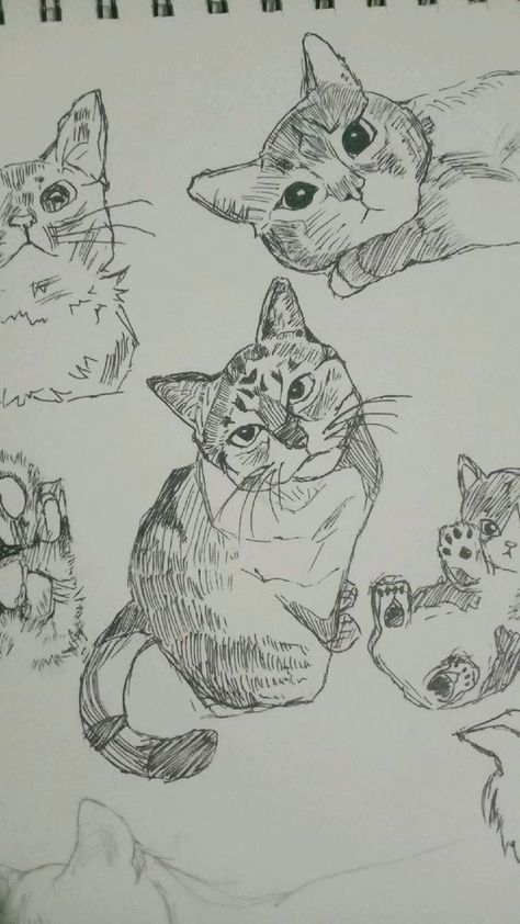 Cats Art Drawing, Cat Sketch, Arte Sketchbook, Arte Inspo, Art Drawings Sketches Creative, Sketch Painting, Art Tutorials Drawing, Book Art Drawings, Art Drawings Sketches Simple