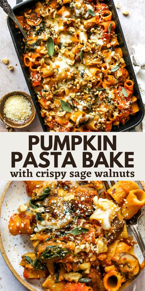 Cheesy Baked Pumpkin Pasta, Yum And Yummier Recipes, Fall Dinner Recipes Crockpot Vegetarian, Autumn Main Dishes, Fall Dinner Recipes With Pumpkin, Fall Vegan Pasta, Pumpkin Goat Cheese Pasta, Pumpkin Pasta Casserole, Fall Pasta Bake Recipes