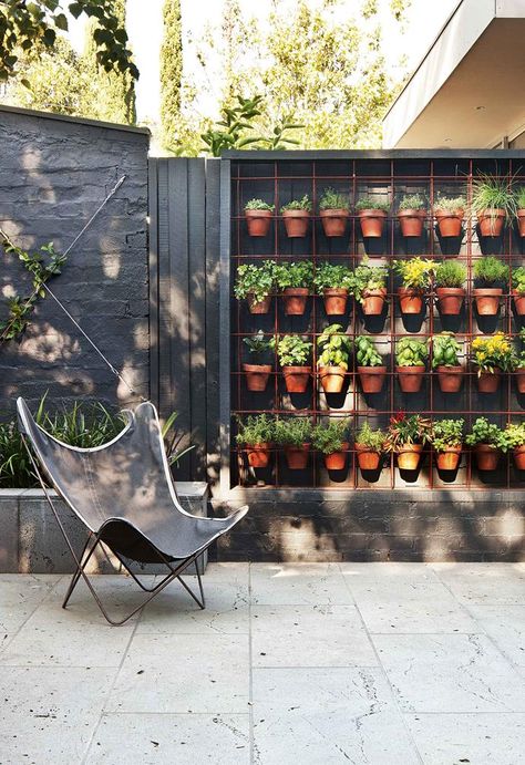 Country Garden Design, Urban Garden Design, Portable Garden, Potted Plants Outdoor, Vertical Garden Wall, Gardening Trends, Australian Garden, Wall Garden, Outdoor Inspirations