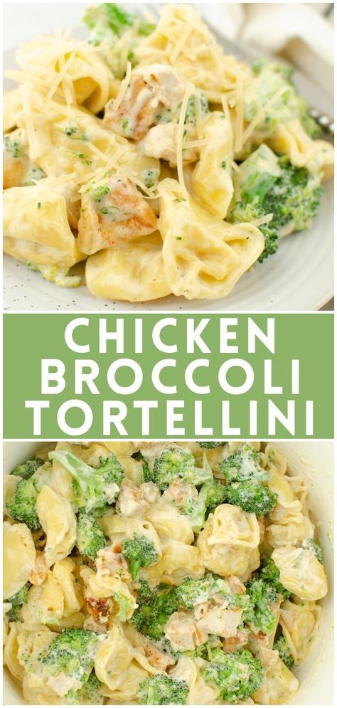 Cheesy Chicken Broccoli Tortellini | Recipe in 2022 | Pasta dinner recipes, Tortellini recipes, Health dinner recipes Chicken Broccoli Tortellini, Broccoli Tortellini, Cheesy Chicken Broccoli, Tortellini Recipes, Chicken Healthy, Dinner Recipes For Family, Salad Pasta, Pasta Dinner Recipes, Health Dinner