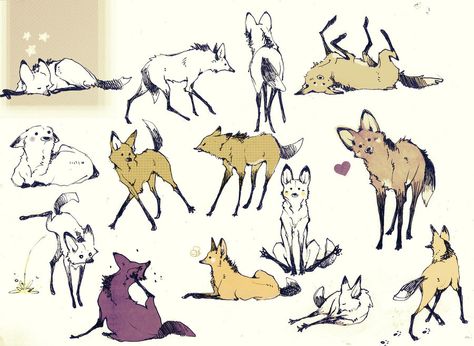 Maned Wolf art Manned Wolf, Maned Wolf, Different Animals, Wolf Drawing, 수채화 그림, Fox Art, Animal Sketches, Wolf Art, Character Design References