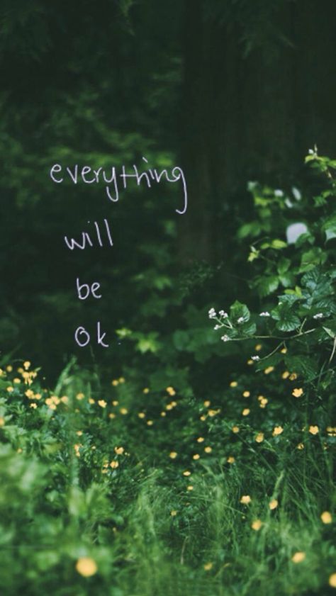 Everything will be ok It Will Be Ok Quotes, Chasing Fireflies, Everything Will Be Ok, Happy Things, Magical Forest, Firefly, Digital Photography, Nature Photos, Secret Garden