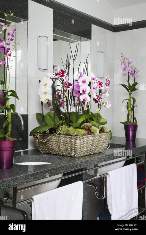 Orchids, blossom, basket, Dendrobium Emma, bathroom, Phalaenopsis, flowers, exotic, tropical, plant, blossoms, beauty, Flechtkorb, moss, pink, pink, ambience, bath, sink, style, tap, towels, armature, lifestyle, clipboard, modern, ornamentally, interior Stock Photo - Alamy Flowers Exotic, Bath Sink, Clipboard, Pink Pink, Orchids, Tap, Towels, Blossom, Resolution