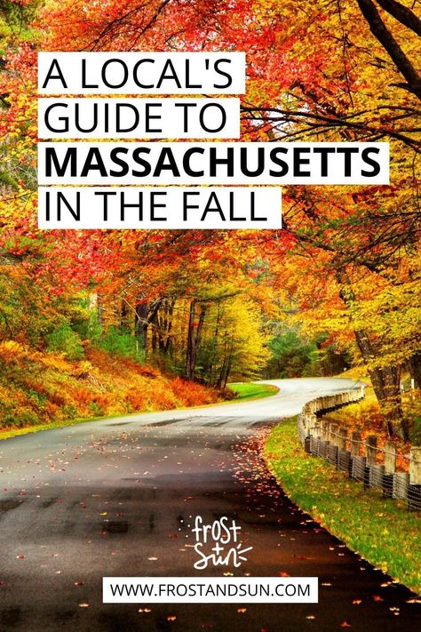 Fall Foliage In Massachusetts, Fall Day Trips From Boston, Places To See In Massachusetts, Boston Fall Foliage, Massachusetts Fall Road Trip, Massachusetts In The Fall, Things To Do In Massachusetts Fall, Fall In Massachusetts, Fall Places To Visit