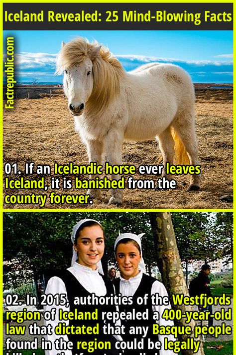 Traveling To Iceland, Living In Iceland, Iceland Living, Icelandic People, Iceland Country, Iceland Facts, Odd Facts, Norway Vacation, Batman Quotes