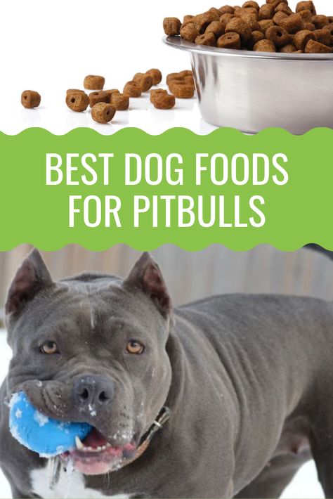 Pitbull Dog Muscle, Best Dog Food For Pitbulls, Pitbull Care Tips, How To Train A Pitbull Dog, Pitbull Care, Homemade Dog Food For Pitbulls, Pitbull Food Recipes, Pitbull Food, Best Puppy Food