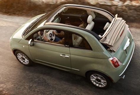 2015 Fiat 500c Pop Convertible Sage Green Fiat 500, Fiat 500c Aesthetic, Small Cars For Women, Mint Green Fiat 500, Fiat Convertible, Fiat 500 Convertible, Fiat 500 Aesthetic, Fiat 500 Colours, Fiat 500 Cabrio