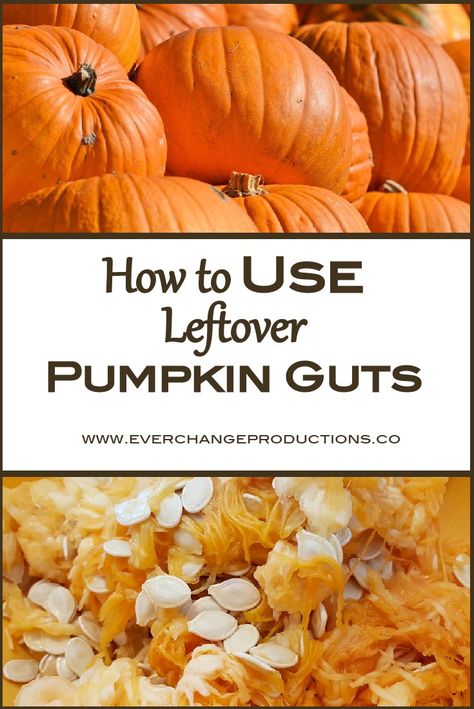 Don't throw out the leftover pumpkin guts. Check out these ways to use pumpkin seeds, pumpkin pulp and pumpkin shell after all the holiday festivities and holiday recipes are over! Uses For Pumpkin Guts, Recipes Using Pumpkin Guts, Recipes For Pumpkin Guts, Pumpkin Carving Recipes, What To Make With Pumpkin Guts, How To Use Pumpkin Guts, What To Do With Pumpkin Guts, Real Pumpkin Recipes, Pumpkin Guts Recipe