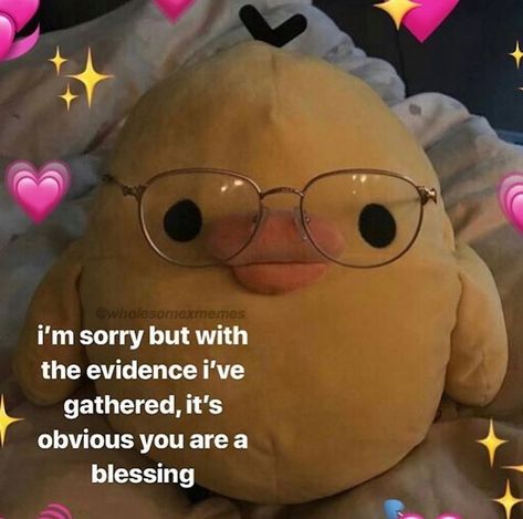 is typing... ꒰๑•ω•๑꒱ˎˊ- tap for more! ⠀ ⠀ ⠀ ⠀ send this to/tag someone :> 💗💞 ⠀ ⠀ ⠀ ⠀ ↳ ❝ these mood swings today 🗿 ❞ ⠀ ⠀ ⠀ ⠀ ❥;; credits ::… Give Me Affection Reaction Pic, Wholesome Quotes Aesthetic, Love Reaction Pics, Wholesome Love, Wholesome Quotes, Cute Wholesome, Wholesome Pictures, Response Memes, Cute Love Memes