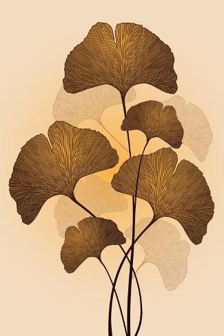 size: 12x8in Photographic Print: Ginkgo Biloba Leaves Vector Illustration by Andry Djumantara : Ginkgo Biloba Illustration, Ginko Leaf Design, Ginko Leaves, Leaves Artwork, Ginkgo Tree, Cool Arm Tattoos, Gingko Leaves, Lino Cut, Gold Leaf Art