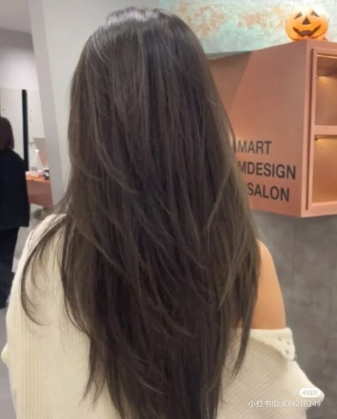 Layered Haircuts Straight Hair, V Cut Hair, Asian Long Hair, V Shape Hair, V Hair, Haircuts For Long Hair With Layers, Straight Hair Cuts, Hair Inspiration Long, Haircut Inspo